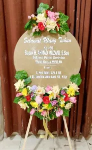 Ulang tahun Barito Timur